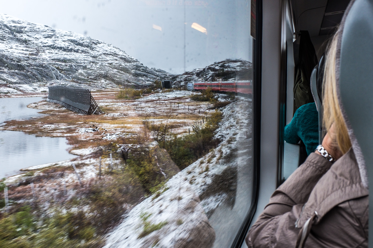 Between hallingskeid and Myrdal. Snow screens can be seen to the left side of the train.